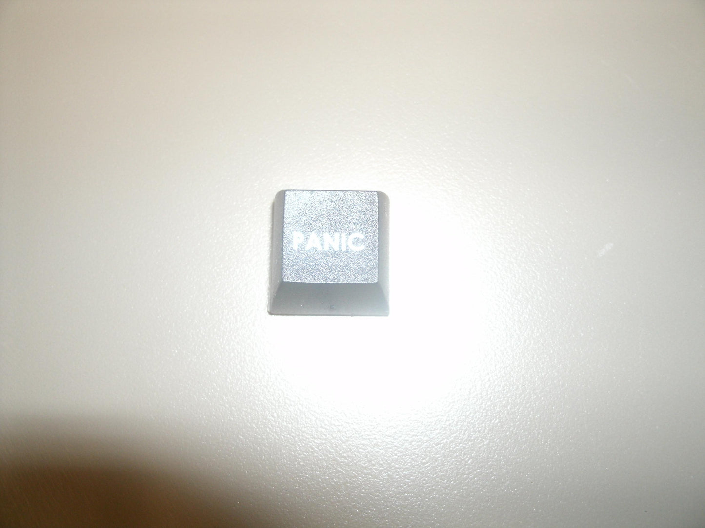 Fakeys "Panic Button" Key. New.