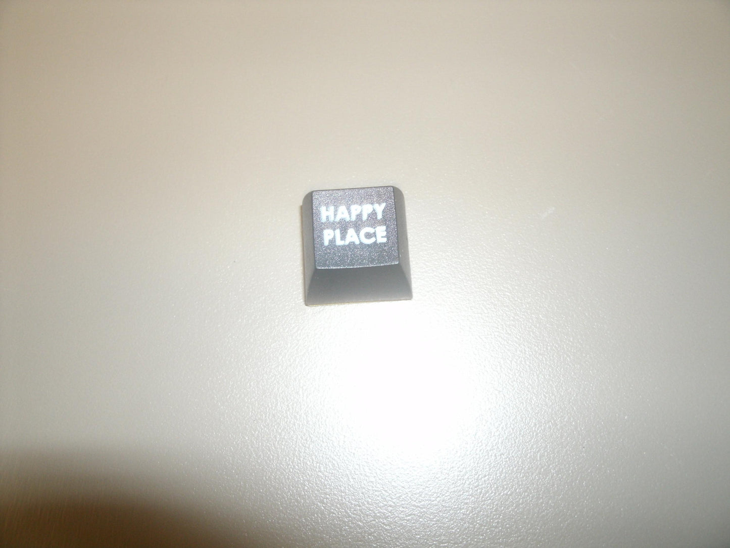 Fakeys "Happy Place" Key. New.
