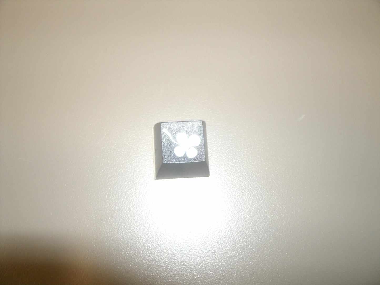 Fakeys "4 Clover Leaf" Key. New.