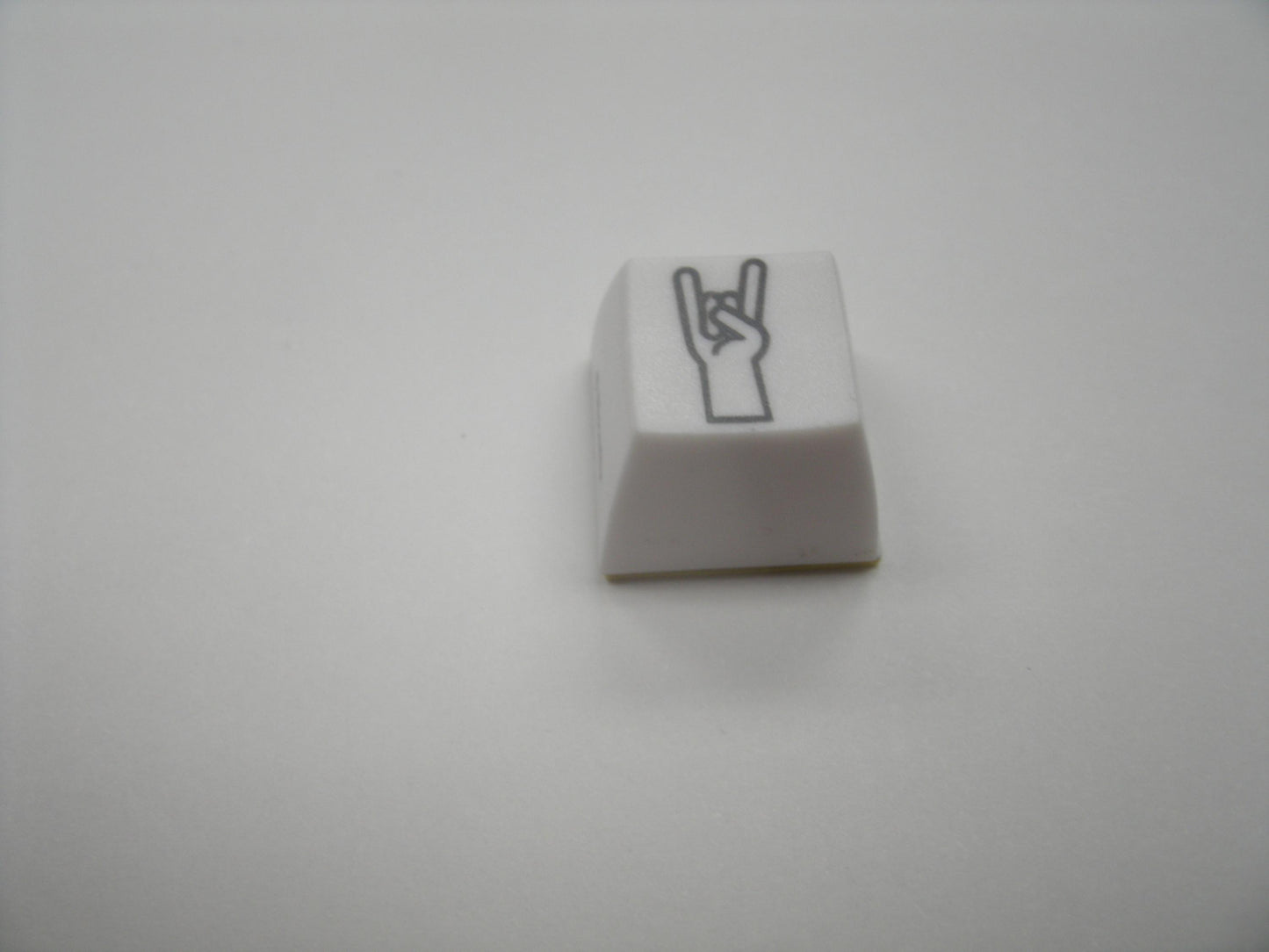 Fakeys "Longhorns" Key. New.