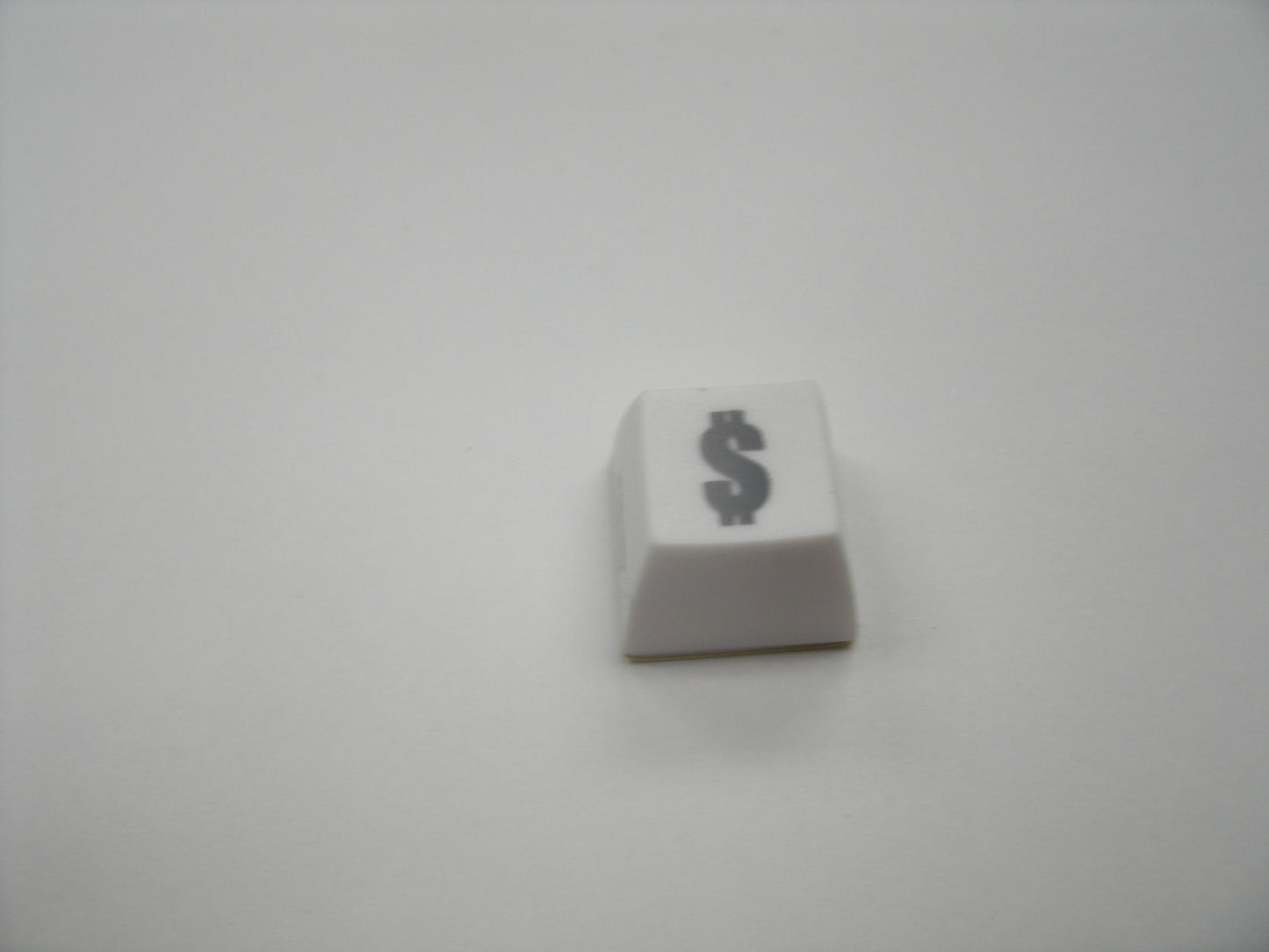 Fakeys "$ Sign" Key. New.
