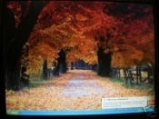 Dell W114C Laptop LCD Screen, 15.4", WSXGA. New.