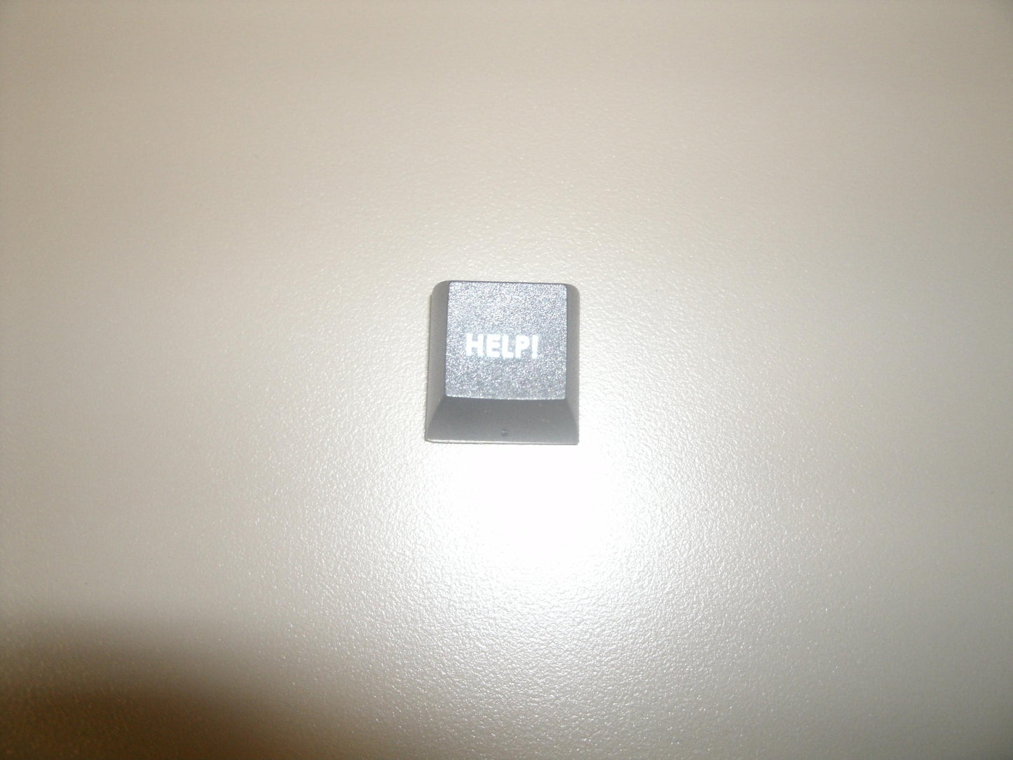 Fakeys "Help!" Key. New.