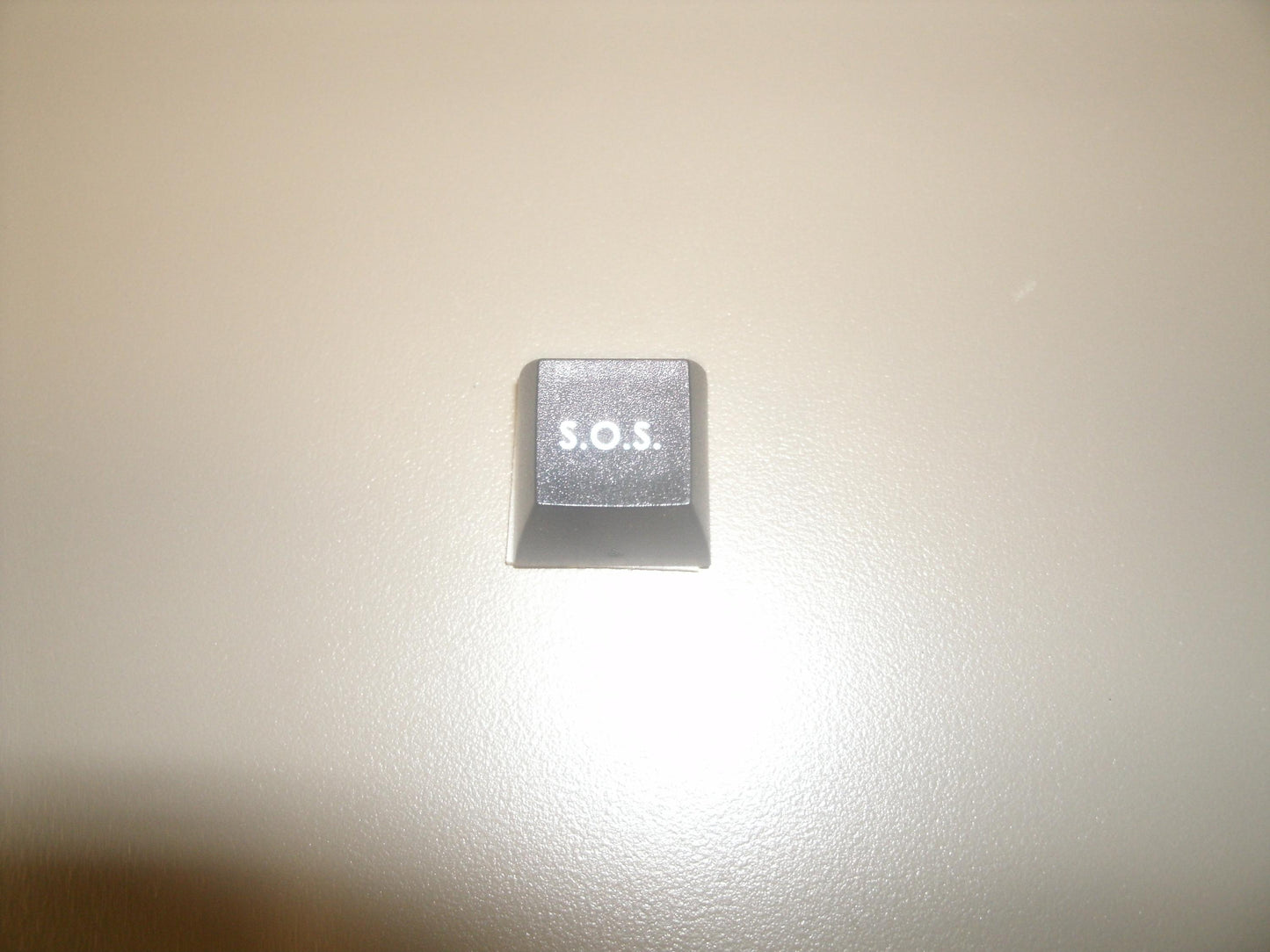 Fakeys "S.O.S." Key. New.