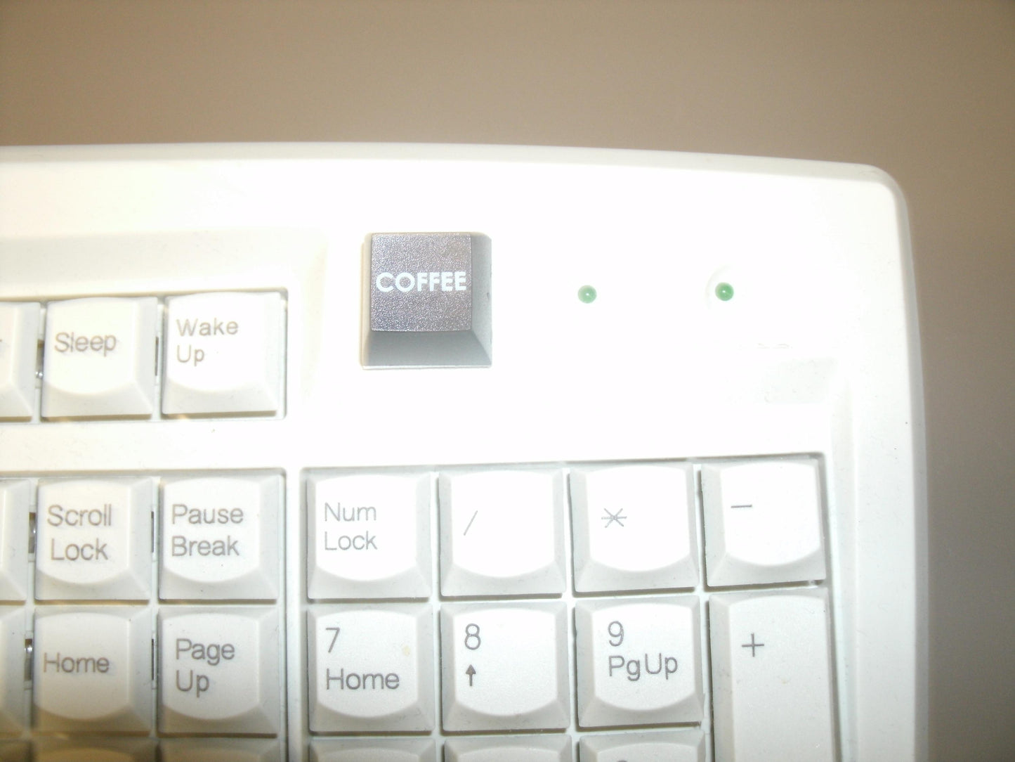 Fakeys "Coffee" Key. New.