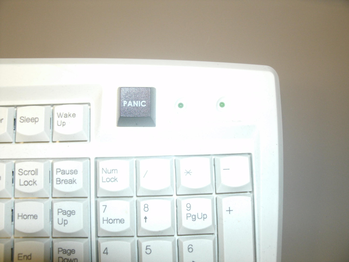 Fakeys "Panic Button" Key. New.