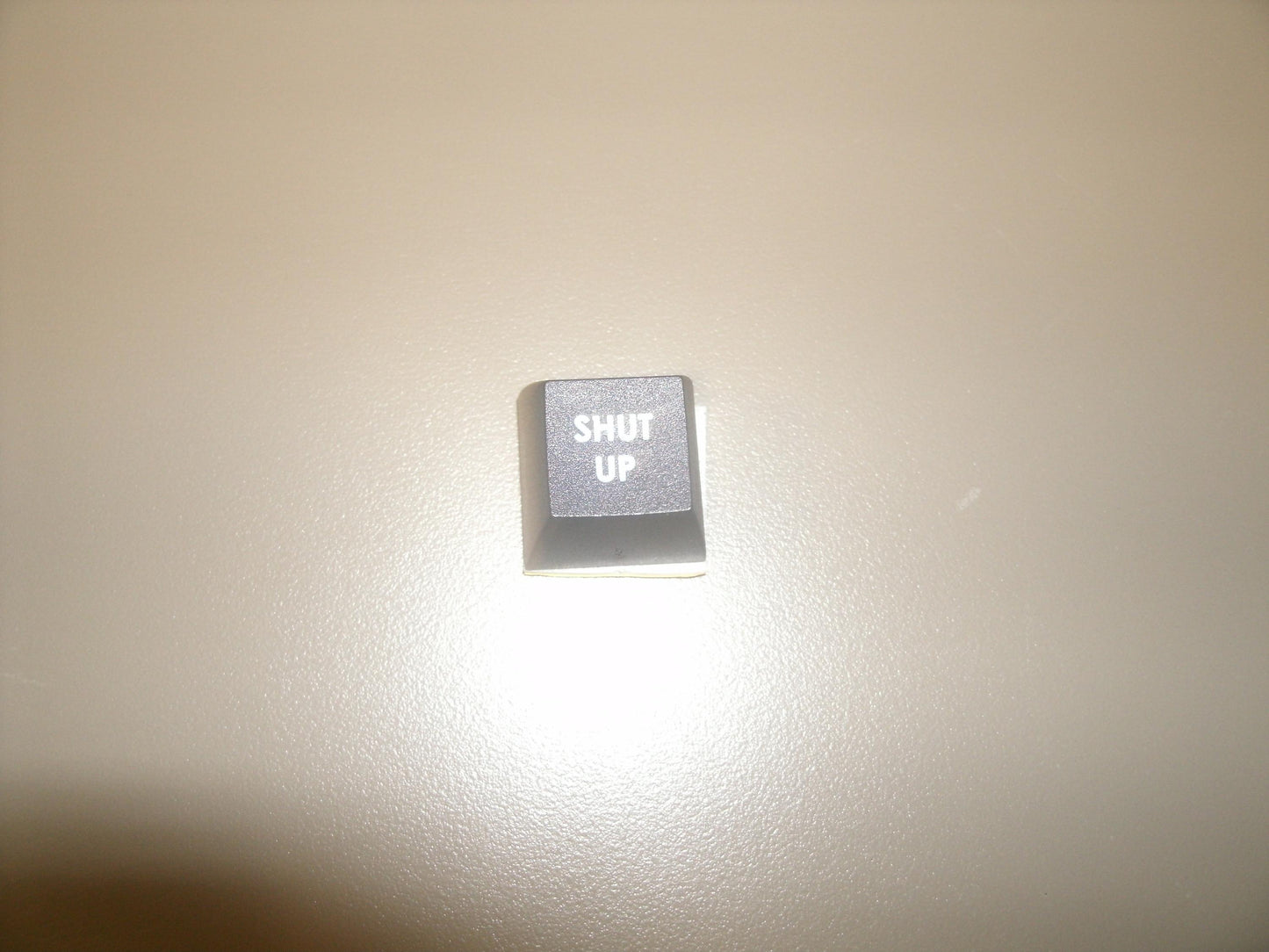 Fakeys "Shut Up" Key. New.