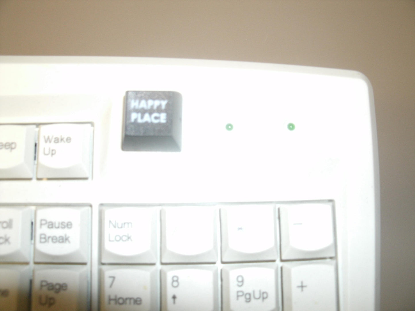 Fakeys "Happy Place" Key. New.