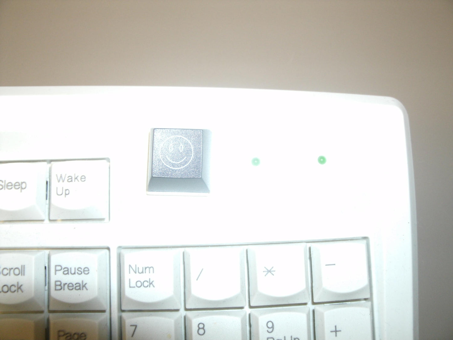 Fakeys "Happy Face" Key. New.