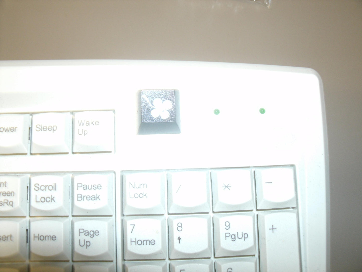 Fakeys "4 Clover Leaf" Key. New.