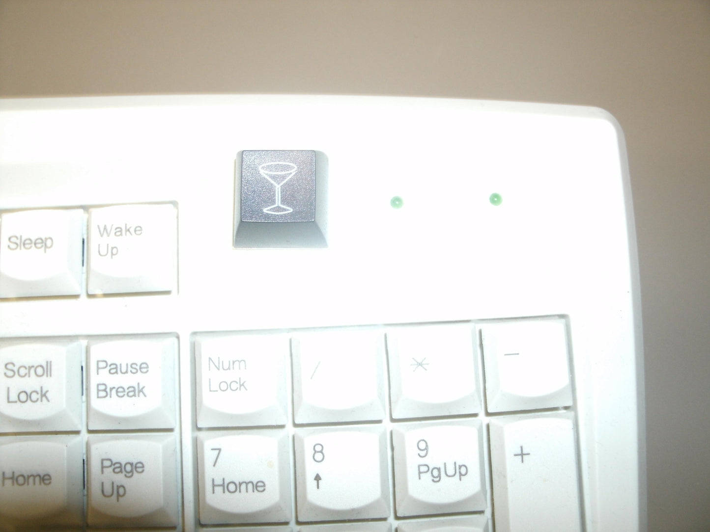 Fakeys "Martini Glass" Key. New.