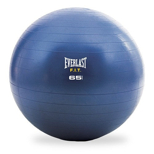 Everlast EX3068BL 65cm Burst Resistant Ball. New.